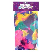 CRAFT FEATHERS PINK PURPLE YELLOW AQUA 16G