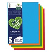 TROPHEE COLOURED PAPER A4 80GSM ASSORTED BRIGHTS PACK 100