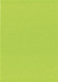KASKAD COLOURED PAPER A4 80GSM PARAKEET GREEN PACK 30