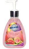 NORTHFORK LIQUID HANDWASH 250ML GUAVA PAPAYA AND CUCUMBER