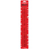 WARWICK RULER PLASTIC 300MM CLEAR